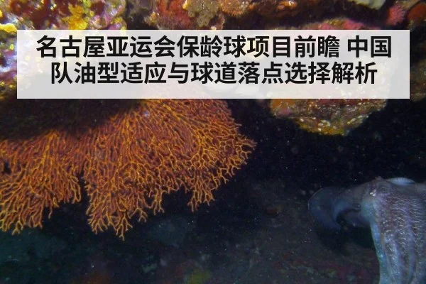 名古屋亚运会保龄球项目前瞻 中国队油型适应与球道落点选择解析